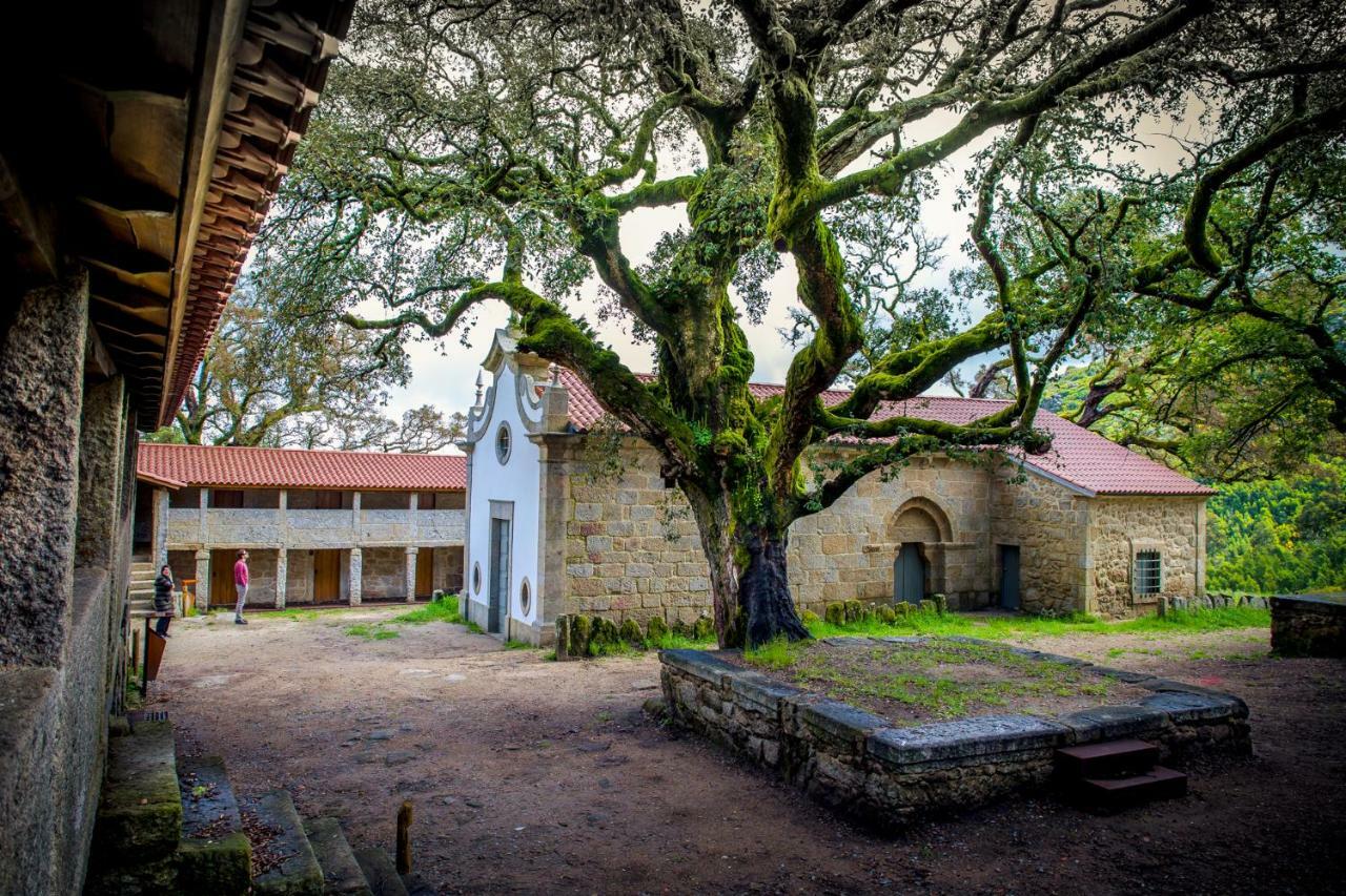 Casa Da Cerveira Homestay *